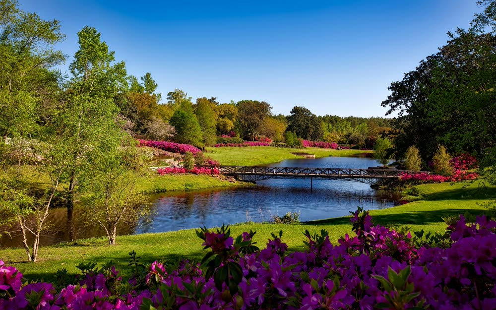 Garden and outdoor space